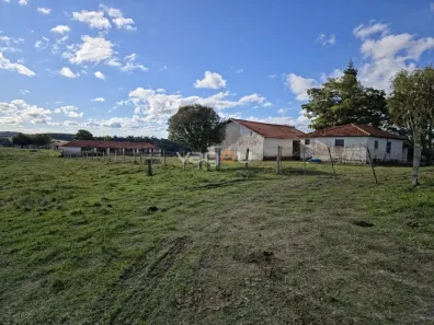 Fazenda/Sítio à venda, 1170000m² no Centro, Itapetininga