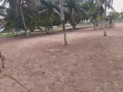 Fazenda/Sítio com 3 Quartos à venda, 27000m² no , Macaíba