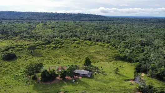 Fazenda/Sítio à venda, 5000m² no , Paranaíta