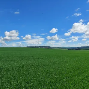 Fazenda/Sítio com 3 Quartos à venda, 2879100m² no , Palmeira