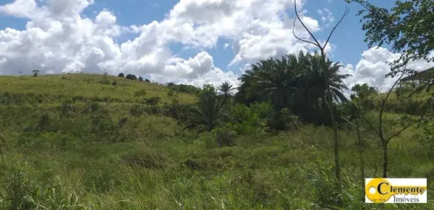 Lote/Terreno à venda, 10000m² no Vargem Fria, Jaboatão dos Guararapes