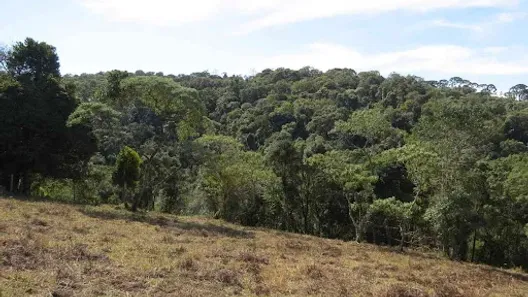 Lote/Terreno à venda, 96800m² no Bairro Sertão do Cantagalo, Gonçalves