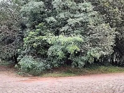 Lote/Terreno com 1 Quarto à venda, 528m² no Lucas Araújo, Passo Fundo