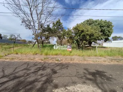 Lote/Terreno à venda, 360m² no Jardim Inconfidência, Uberlândia
