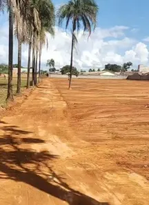 Lote/Terreno à venda, 10000m² no Chácaras São Pedro, Aparecida de Goiânia