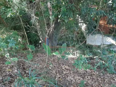 Lote/Terreno à venda, 447m² no Alto da Boa Vista, Rio de Janeiro