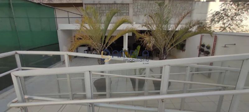 Foto 41