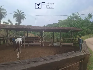 Fazenda/Sítio com 3 Quartos à venda, 50000m² no Zona Rural, Florestal