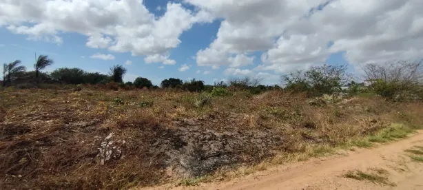 Lote/Terreno com 1 Quarto à venda, 250m² no , Paço do Lumiar
