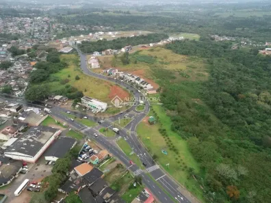 Lote/Terreno à venda, 126m² no Lomba do Pinheiro, Porto Alegre