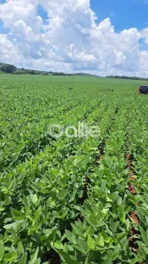 Fazenda/Sítio com 6 Quartos à venda, 800m² no , Sidrolândia