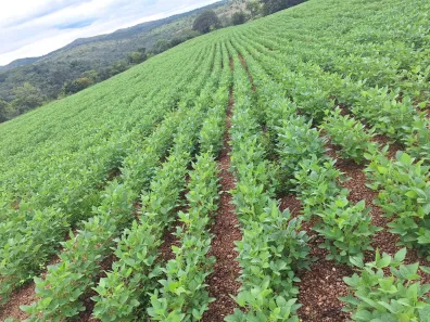 Fazenda/Sítio à venda, 1150000m² no Área Rural de Paracatu, Paracatu