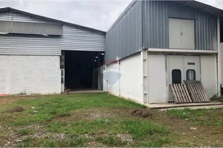 Galpão/Depósito/Armazém para alugar, 1056m² no Centro de Ouro Fino Paulista, Ribeirão Pires