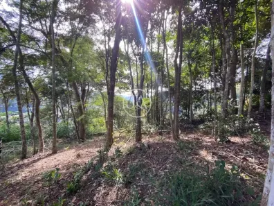 Lote/Terreno à venda, 1293m² no Itaipava, Petrópolis