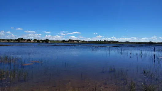 Lote/Terreno à venda, 1800m² no , Estância