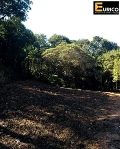 Lote/Terreno à venda, 3700m² no Vista Alegre, Vinhedo