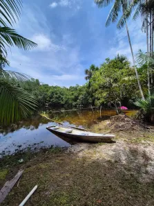 Fazenda/Sítio com 2 Quartos à venda, 10000m² no , Manaus