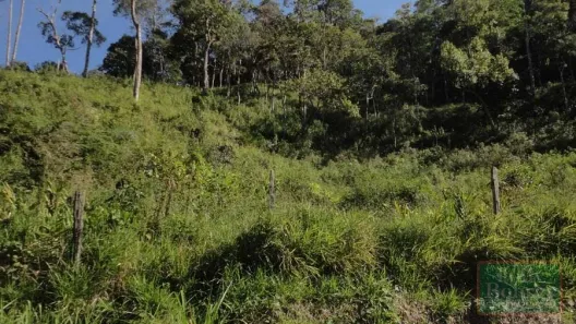 Lote/Terreno à venda, 16000m² no Mury, Nova Friburgo