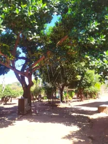 Fazenda/Sítio à venda, 1265m² no Vila Sedenho, Araraquara