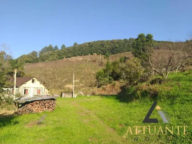 Fazenda/Sítio com 2 Quartos à venda, 6m² no Desvio Rizzo, Caxias do Sul