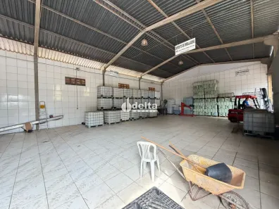 Ponto Comercial para alugar, 415m² no Chácaras Tubalina e Quartel, Uberlândia