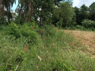 Lote/Terreno à venda, 5502m² no , Picada Café