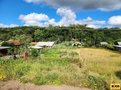 Lote/Terreno à venda, 495m² no Linha Imperial, Nova Petrópolis
