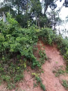 Lote/Terreno à venda, 1080m² no Recreio da Borda do Campo, Santo André