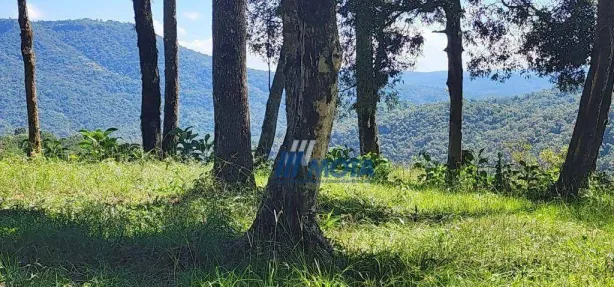 Fazenda/Sítio à venda, 20106m² no Área Rural de Campo Largo, Campo Largo