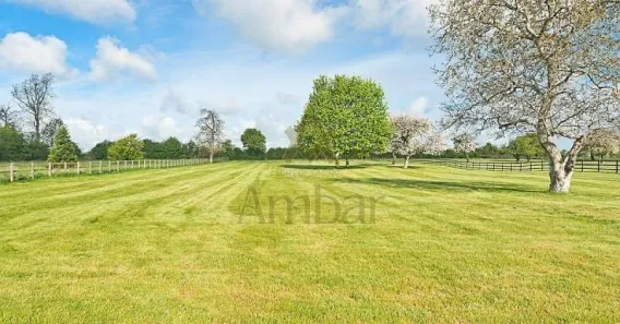 à venda, 15000m² no Jardim Florestan Fernandes, Ribeirão Preto