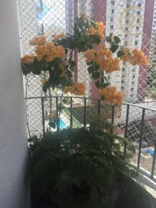 Apartamento com 3 Quartos à venda, 107m² no Vila Madalena, São Paulo