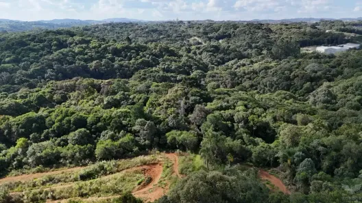 Lote/Terreno à venda, 8709m² no Colonia Santa Gabriela, Almirante Tamandaré
