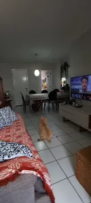 Apartamento com 3 Quartos à venda, 85m² no Boa Viagem, Recife