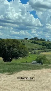 Fazenda/Sítio à venda, 968000m² no Jardim Seckler, Porto Feliz
