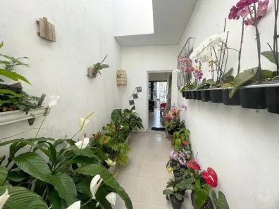 Casa com 2 Quartos à venda, 159m² no Estreito, Florianópolis