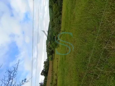 Fazenda/Sítio com 4 Quartos à venda, 72600m² no , Piedade