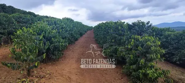 Fazenda/Sítio à venda, 484000m² no , Três Pontas