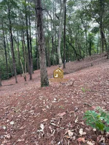 Lote/Terreno à venda, 1600m² no Portão, Atibaia