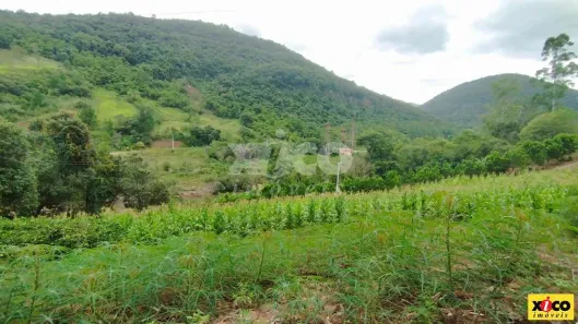 Fazenda/Sítio com 1 Quarto à venda, 60000m² no Vale do Rio Caí, Nova Petrópolis