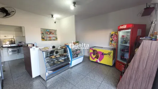 Casa com 3 Quartos à venda, 450m² no Jaraguá, Uberlândia