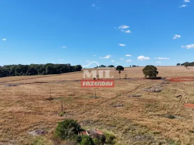 Fazenda/Sítio à venda, 1m² no , Anicuns