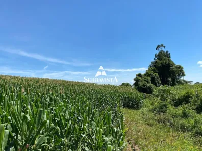 Fazenda/Sítio com 1 Quarto à venda, 20000m² no , Campo Alegre