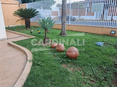 Sala Comercial com 3 Quartos à venda, 284m² no Vila Velosa, Araraquara