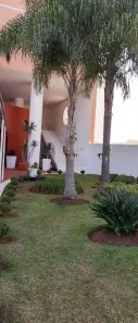 Apartamento com 3 Quartos para alugar, 72m² no Jardim Veneza, São José dos Campos