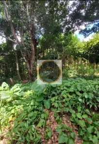 Lote/Terreno à venda, 5000m² no Aldeia dos Camarás, Camaragibe