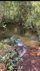 Lote/Terreno à venda, 588m² no Jatobá, Jaciara