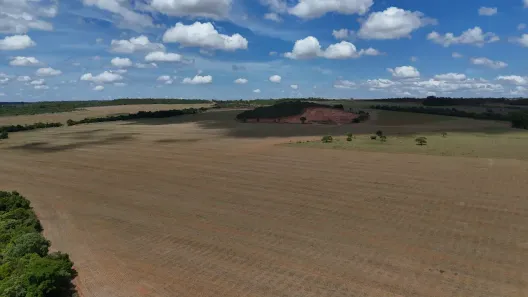 Fazenda/Sítio com 3 Quartos à venda, 6146801m² no Zona Rural, Silvânia