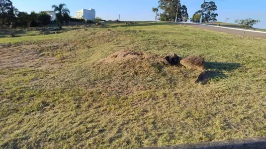 Lote/Terreno à venda, 1028m² no Colinas De Inhandjara, Itupeva