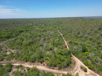 Fazenda/Sítio à venda, 8140000m² no , Carolina