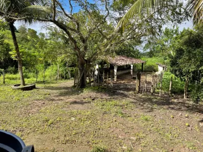 Fazenda/Sítio com 4 Quartos à venda, 950000m² no , Serraria